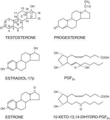 Structures of common steroid hormones