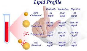 Lipid profile table showing effects of Ostarine