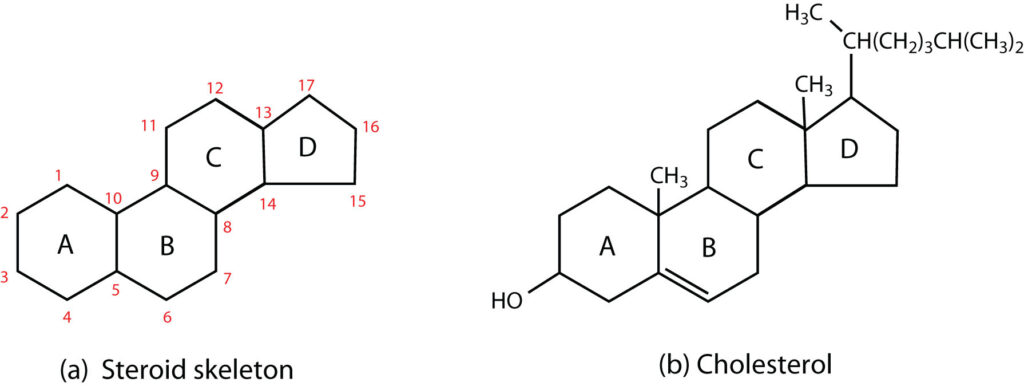 Steroid vs Cholesterol structure