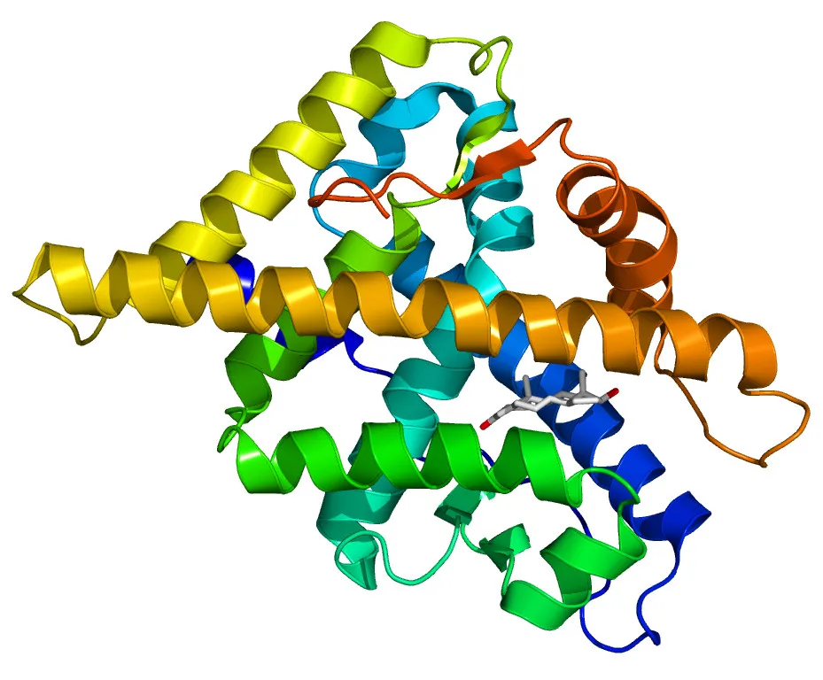 Three-dimensional protein structure with color-coded alpha helices and ligand binding site.