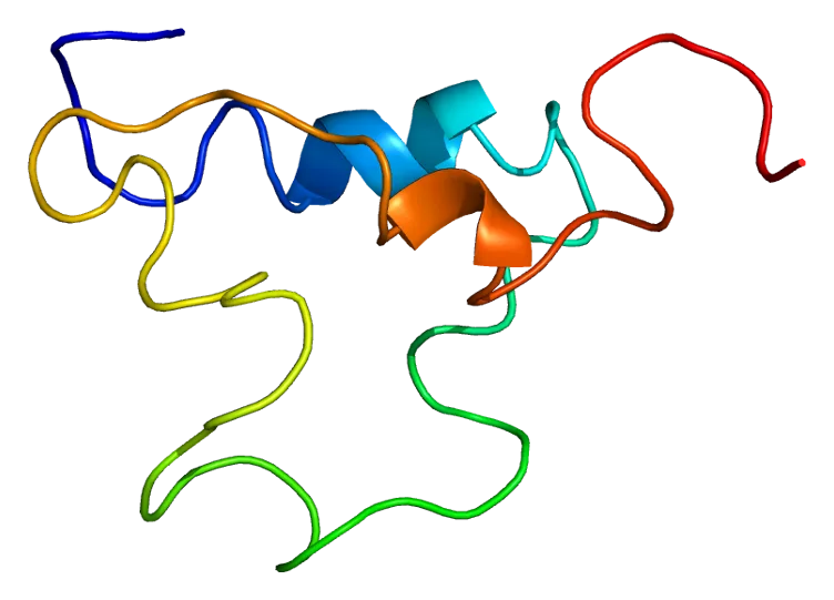 IGF1 protein structure with colored alpha helices and loops representing different domains.