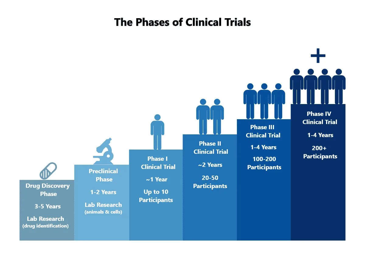 Phases of RAD-140 clinical trials chart showing drug discovery, preclinical, and four trial phases with timeframes and participants.