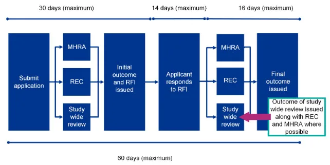 Study review sarms clinical trial approval process flowchart, detailing timeline and communication between REC, MHRA, applicant responses.