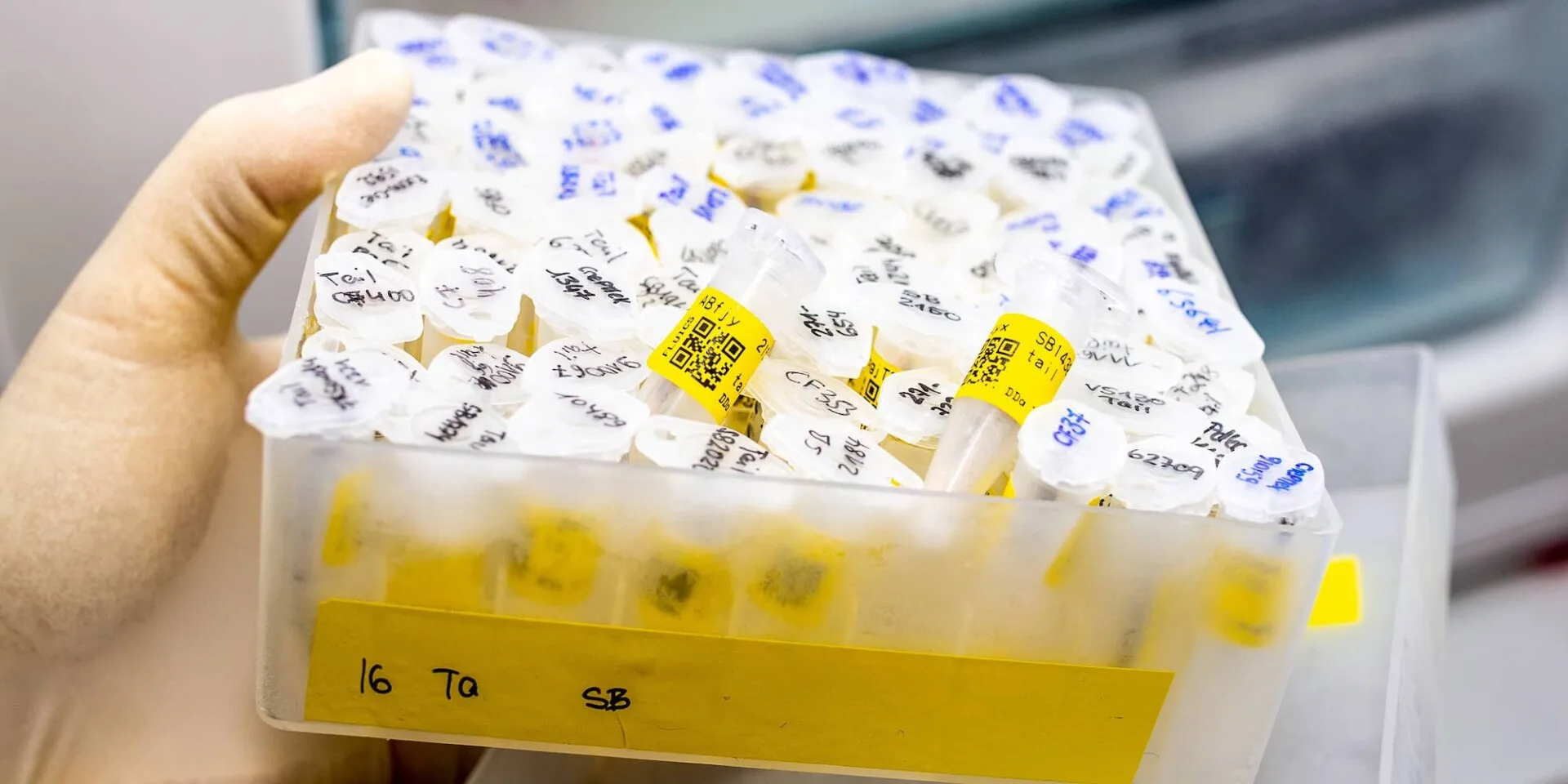 Hand holding labeled SARMs sample vials, indicating organized storage.