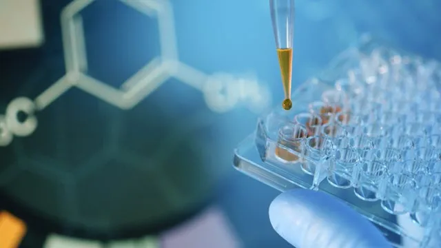 Laboratory pipetting into microplate for chemical analysis in sarms toxicity evaluation experiment.