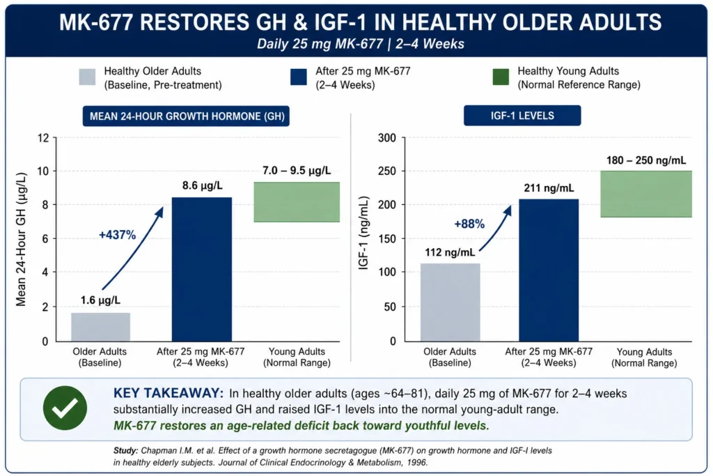 MK-677 boosts GH by 437% and IGF-1 by 88% in older adults, matching levels in young adults after 2-4 weeks.