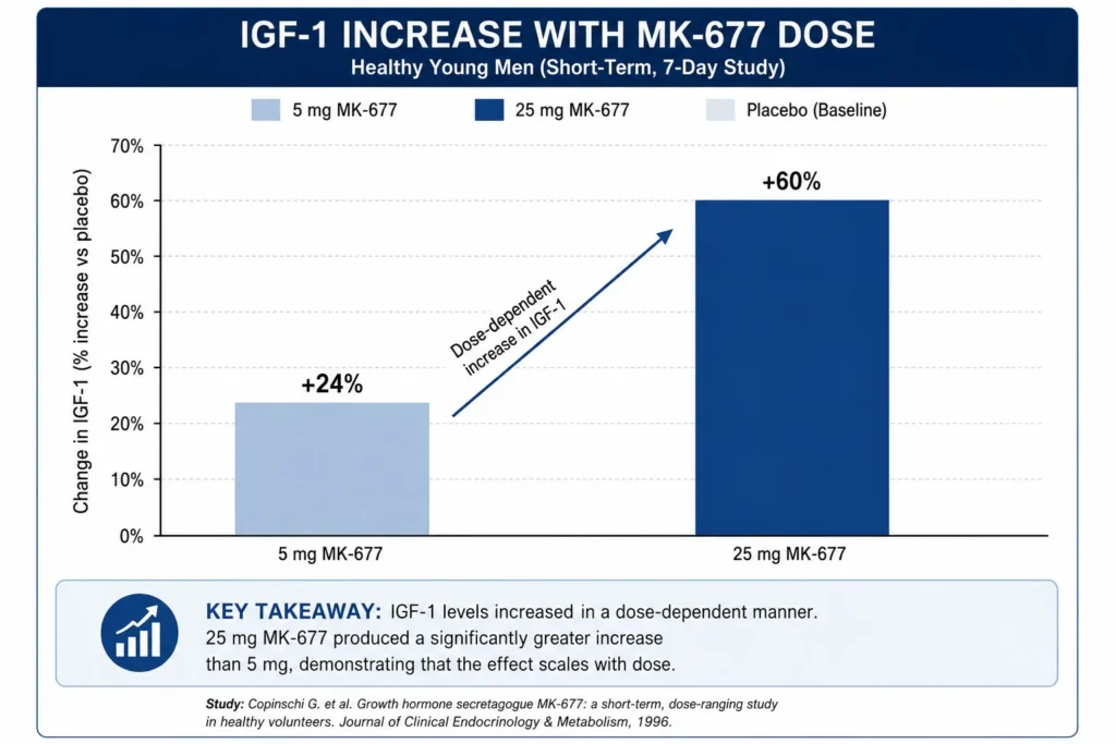 Graph showing IGF-1 increase in healthy men. 25 mg MK-677 boosts IGF-1 by 60%, 5 mg by 24%, indicating dose-dependence.