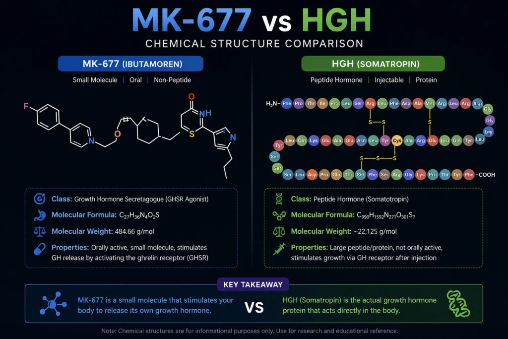 MK‑677 vs HGH chemical structure; MK‑677 is a small, oral molecule; HGH is an injectable peptide hormone; key features