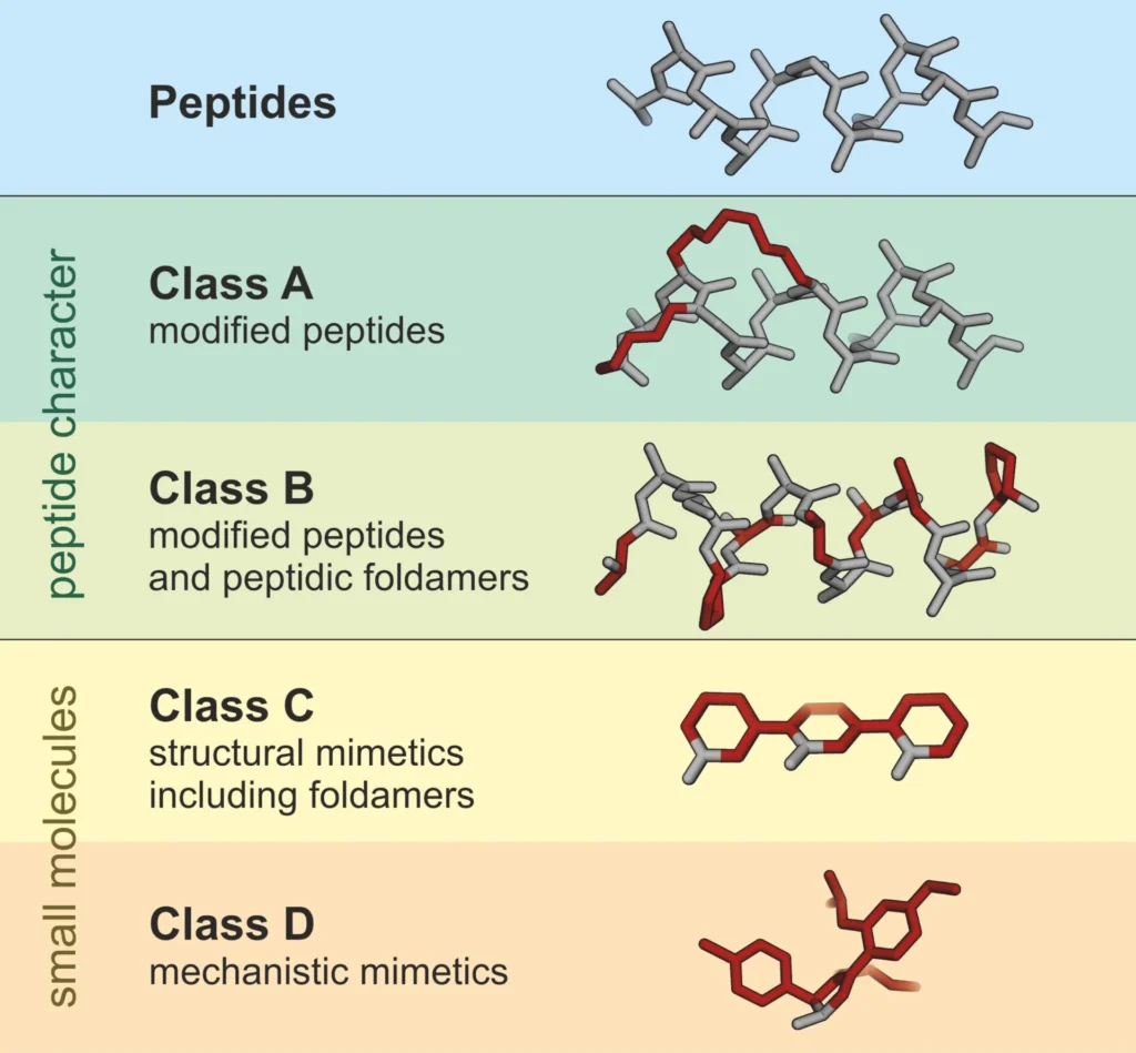 Peptide derivatives classified into classes A-D, showing peptide and small molecule structures indicating modifications.
