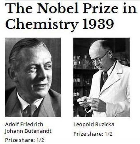 How the First Anabolic Steroids Were Created 4 Photo of Nobel Prize winners Adolf Butenandt and Leopold Ruzicka, synthesizers of testosterone