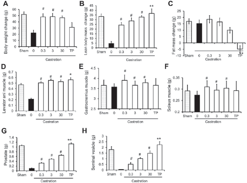 Hershberger Test: How Scientists Measured Anabolic Activity 4 Bar graph comparing the effects of a selective androgen receptor modulator (SARM) and testosterone on muscle and prostate weights in castrated rats.